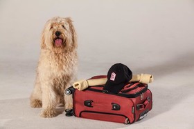 Red Roof Inn Prattville