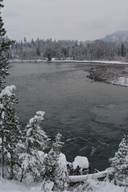 Eagles' Nest Bed and Breakfast