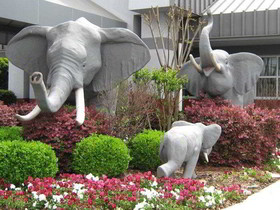 Best Western University Inn