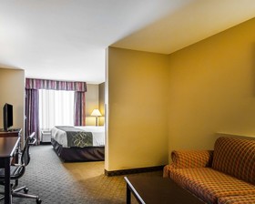 Comfort Suites Tuscaloosa Near University