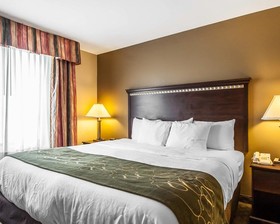 Comfort Suites Tuscaloosa Near University