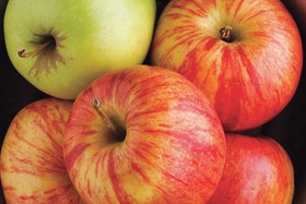 La Quinta Inn & Suites by Wyndham Tuscaloosa University