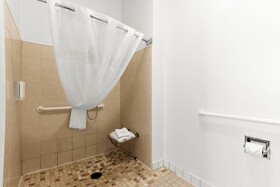 Clarion Suites Downtown