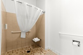 Clarion Suites Downtown