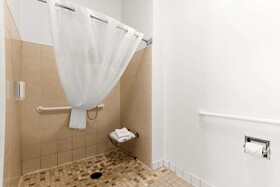 Clarion Suites Downtown