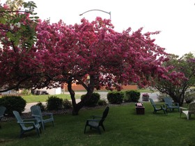 Lakeshore Inn & Suites