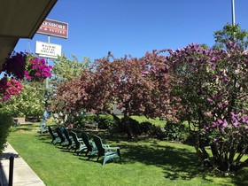 Lakeshore Inn & Suites