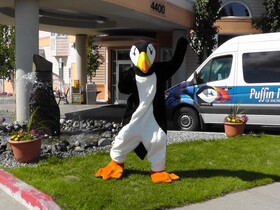 Puffin Inn