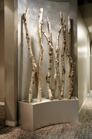 Sheraton Anchorage Hotel & Spa