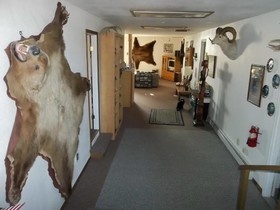 Top of the Rock Lodge