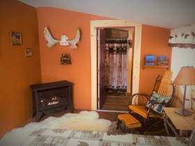 Wrangell Mountain Lodge