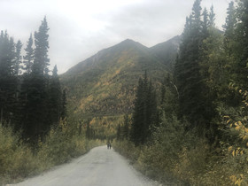 Wrangell Mountain Lodge