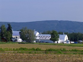 Best Western Plus Chena River Lodge