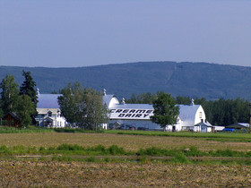 Best Western Plus Chena River Lodge