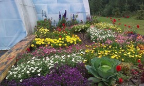 Chena Hot Springs Resort