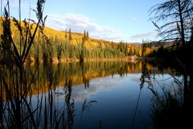 Chena Hot Springs Resort