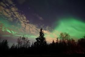 Fairbanks Moose Manor Bed And Breakfast