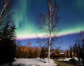 Fairbanks Moose Manor Bed And Breakfast