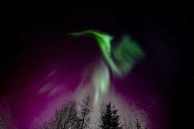 Fairbanks Moose Manor Bed And Breakfast
