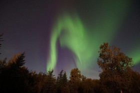 Fairbanks Moose Manor Bed And Breakfast
