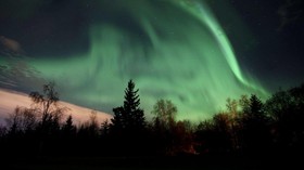 Fairbanks Moose Manor Bed And Breakfast