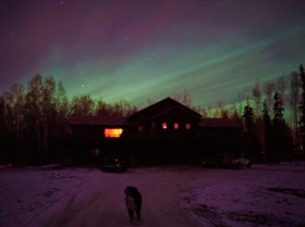 Fairbanks Moose Manor Bed And Breakfast