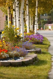 Clarion Hotel & Suites