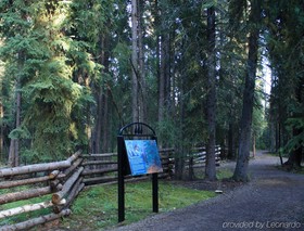 Wedgewood Resort