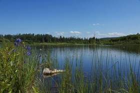 Wedgewood Resort