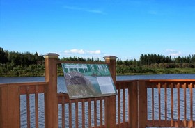 Wedgewood Resort