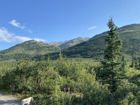 Denali RV Park And Motel