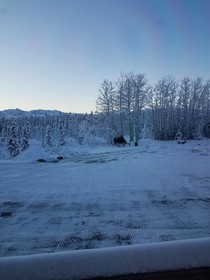 Denali Touch of Wilderness Bed and Breakfast Inn