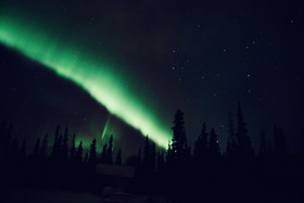Denali Wild Stay