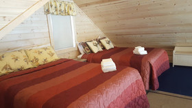 Denali Wild Stay