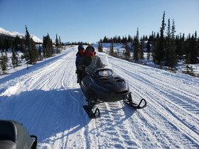 Denali Wild Stay