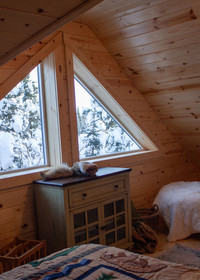 Denali Wild Stay