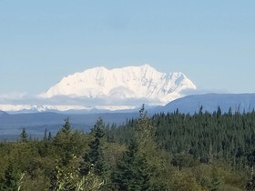 Denali Wild Stay