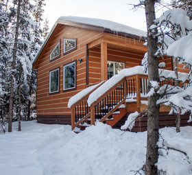 Denali Wild Stay