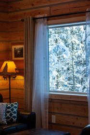 Denali Wild Stay