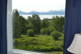 Pioneer Inn Guesthouse