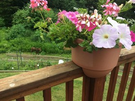 The Spyglass Inn B&B