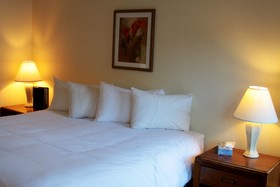 The Driftwood Hotel