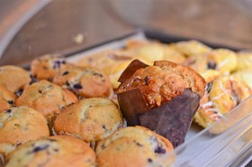 Best Western Kodiak Inn and Convention Center