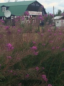 Fireweed Roadhouse