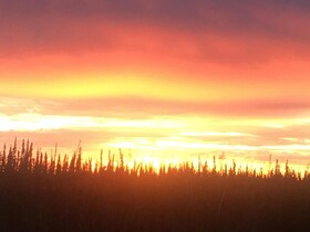 Fireweed Roadhouse
