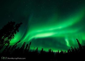 Alaska Haven