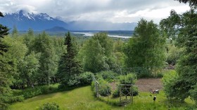 Chickadee Inn