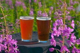 Seward Windsong Lodge