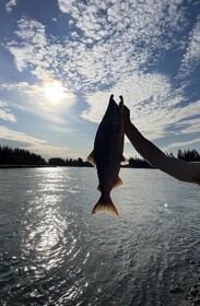Alaska Lake and Lodge at Longmere