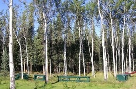Cloudberry Cabin